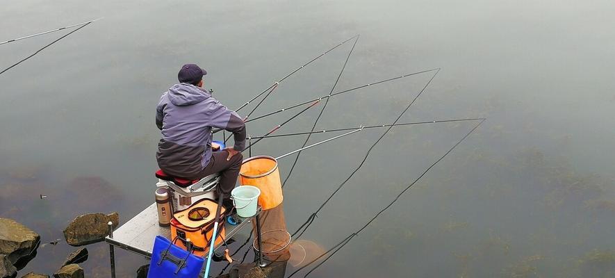 大棚钓鱼技巧每日有哪些？如何提高钓鱼效率？