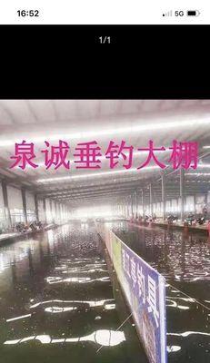 大棚钓鱼技巧教程？如何在大棚中提高钓鱼成功率？