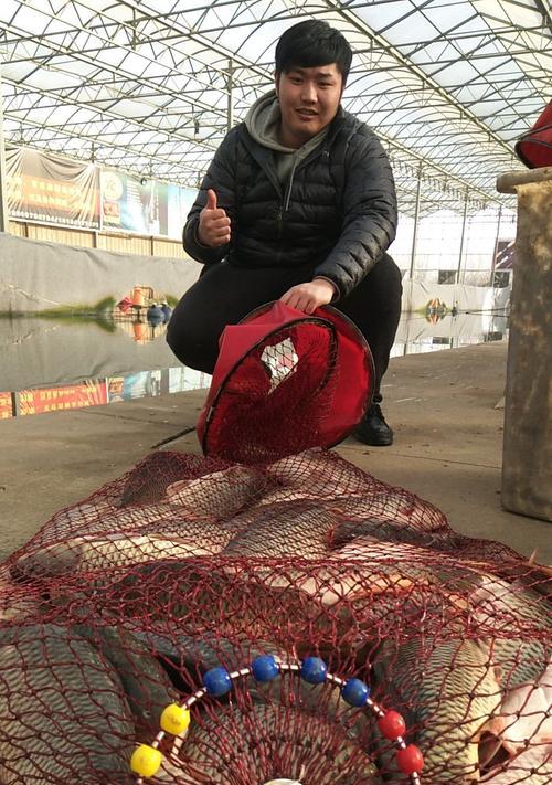 大棚钓鱼技巧教学有哪些常见问题？如何解决？