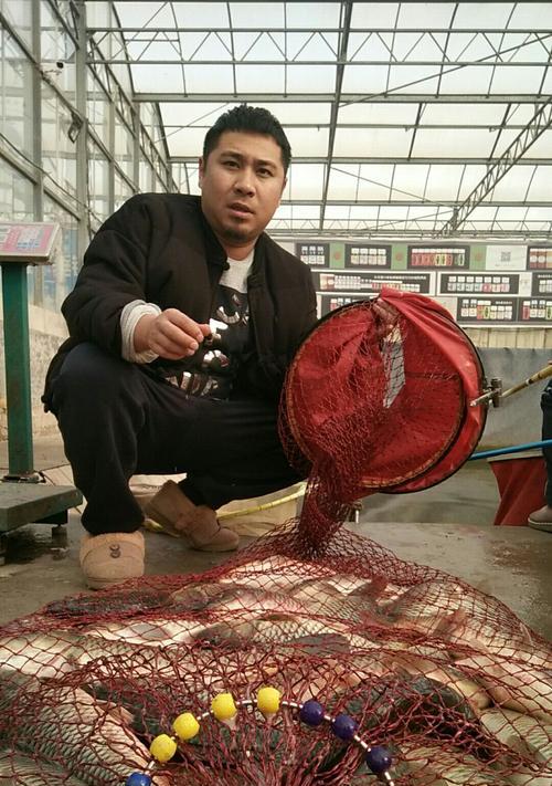 大棚钓鱼技巧教学有哪些常见问题？如何解决？