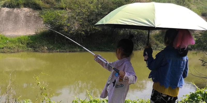 大棚钓鱼野钓技巧教程？如何在大棚中享受野钓乐趣？
