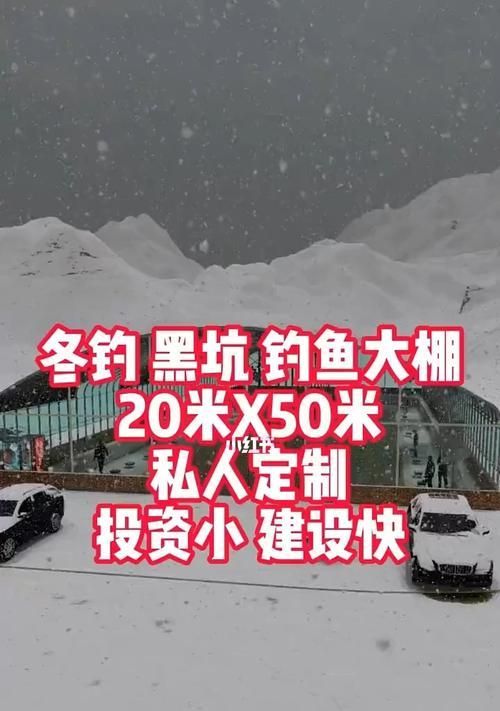 大棚钓鱼新技巧是什么？如何提高钓鱼效率？