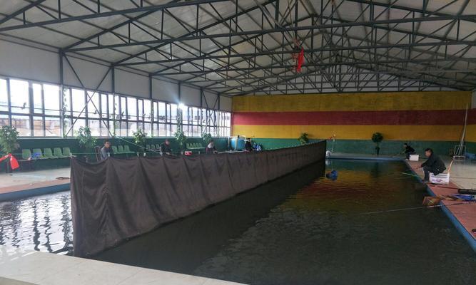 大棚钓鱼需要哪些技巧？如何提高钓鱼成功率？