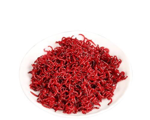 大棚钓鱼用红虫技巧有哪些？如何正确使用红虫提高钓鱼效率？