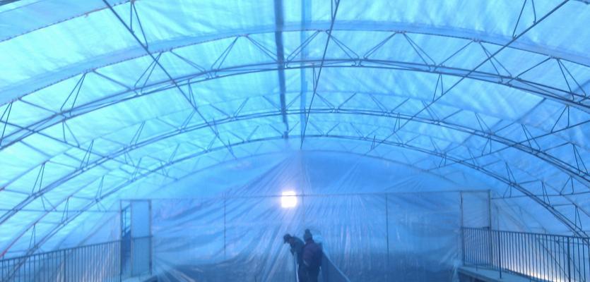 大棚钓鱼时应该注意什么？有哪些技巧可以提高成功率？