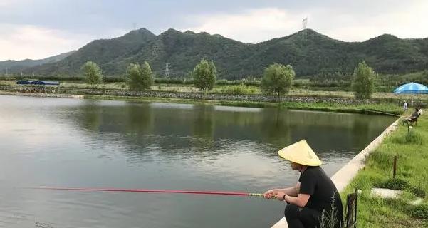 大棚钓鱼最好的方法和技巧是什么？如何提高钓鱼成功率？