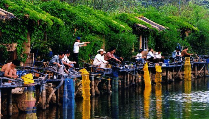 大平台钓鱼技巧有哪些？如何在大平台上提高钓鱼成功率？
