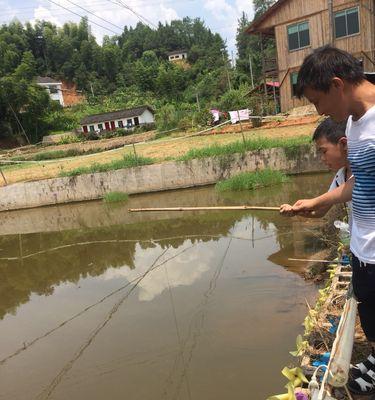 大山大水钓鱼技巧有哪些？如何应对不同水域的钓鱼挑战？