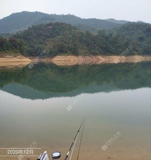 大山水库钓鱼技巧有哪些？如何提高钓鱼成功率？