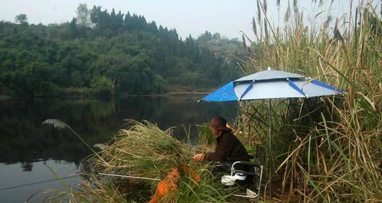 大山溪流野钓小鱼技巧有哪些？如何提高野钓小鱼的成功率？