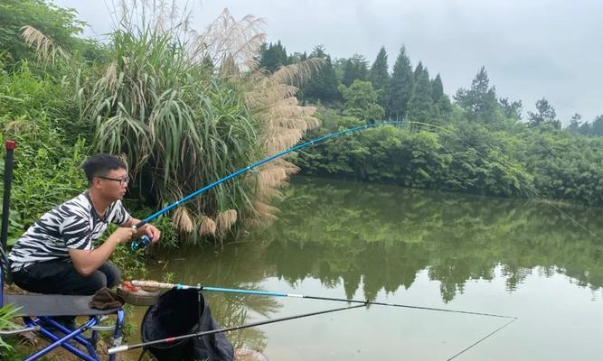 大师钓鱼的小技巧有哪些？如何提高钓鱼成功率？