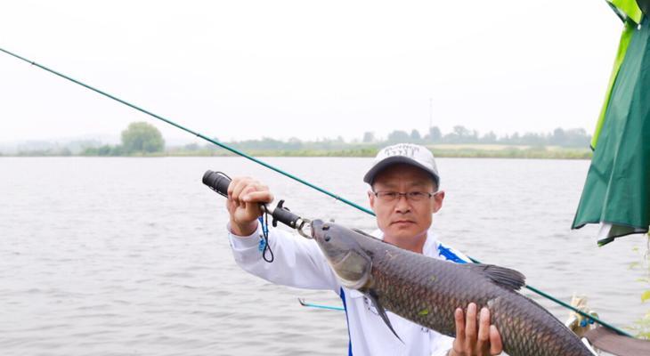 大师钓鱼技巧秘籍？如何快速掌握钓鱼高手的秘诀？