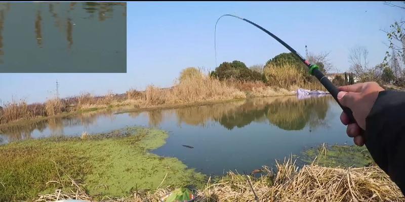 冬季野钓如何调漂？大师分享的调漂技巧有哪些？