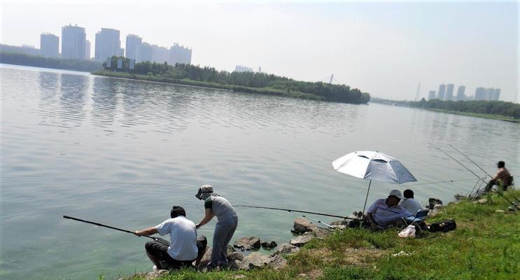 大师高温野钓技巧有哪些？如何应对高温天气下的钓鱼挑战？