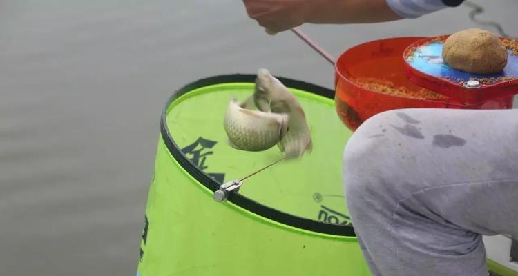 大师讲解配鱼饵技巧？如何根据鱼种选择合适的鱼饵？