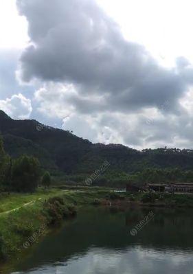 大师讲解鱼塘钓鱼技巧？如何提高钓鱼成功率？