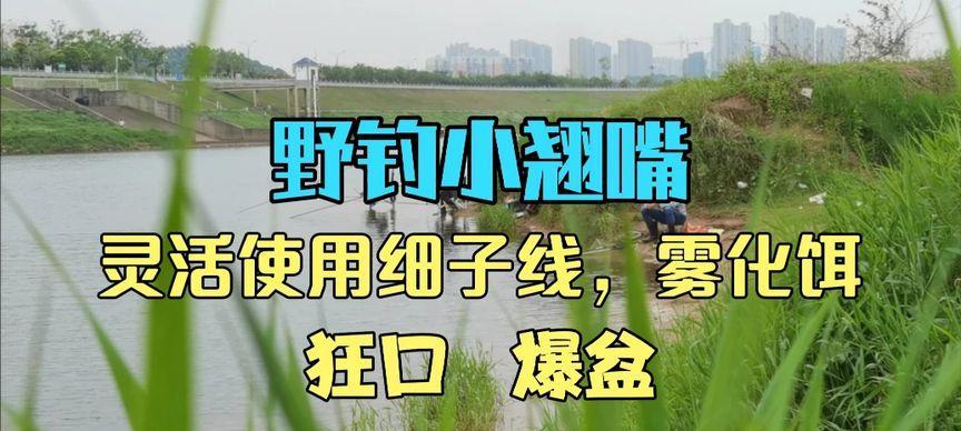 野钓开饵技巧有哪些？大师分享的3个秘诀是什么？