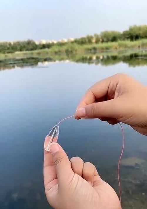 大师教你小技巧好钓鱼？如何快速掌握钓鱼技巧？