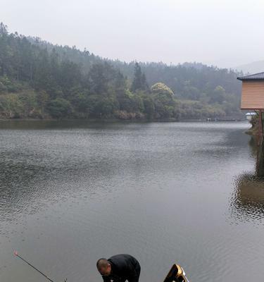 大师水库钓鱼技巧有哪些？如何提高钓鱼成功率？