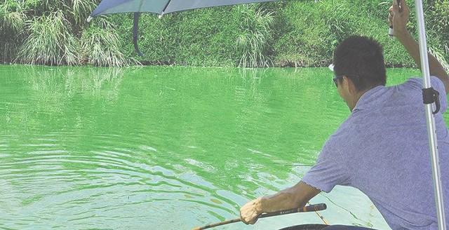 夏天钓鱼技巧有哪些？大师是如何应对高温天气的？