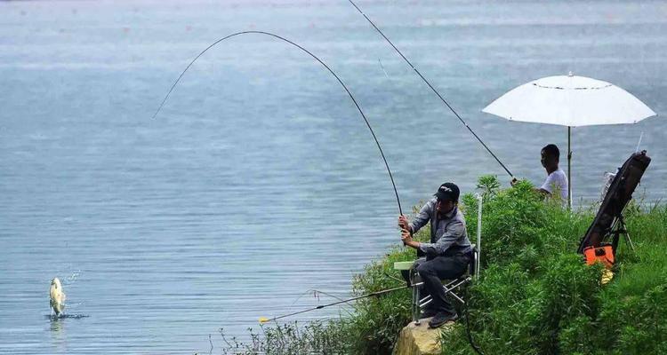 夏天钓鱼技巧有哪些？大师是如何应对高温天气的？