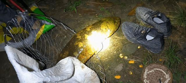 夜晚钓鱼技巧有哪些？大师是如何在夜晚成功钓鱼的？