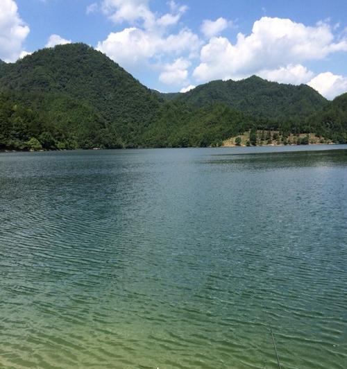 大暑钓鱼技巧有哪些？如何提高夏季钓鱼成功率？