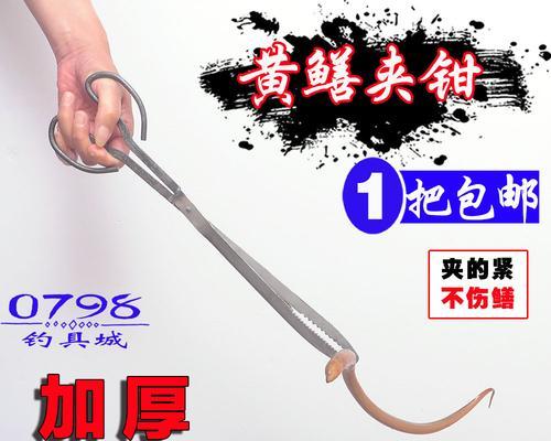 如何制作钓黄鳝的钩子？垂钓时有哪些技巧？