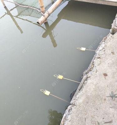 如何有效钓黄鳝？钓鱼时应注意哪些常见问题？
