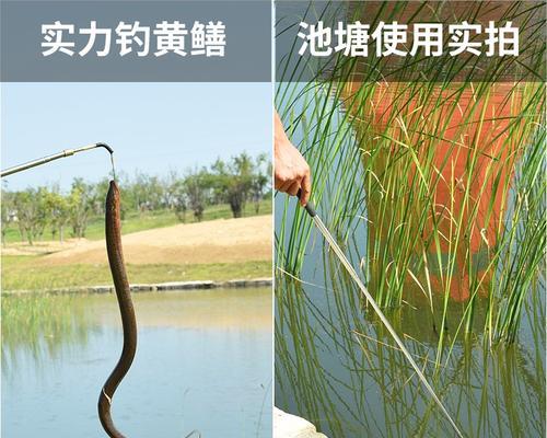 如何钓黄鳝？掌握这些技巧和教程能提高成功率吗？