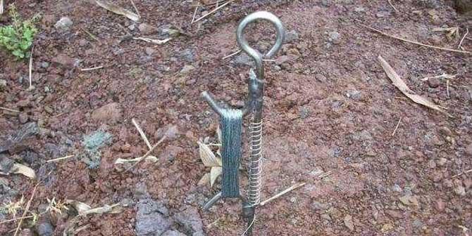 如何选择钓甲鱼的最佳钓具和钓位？