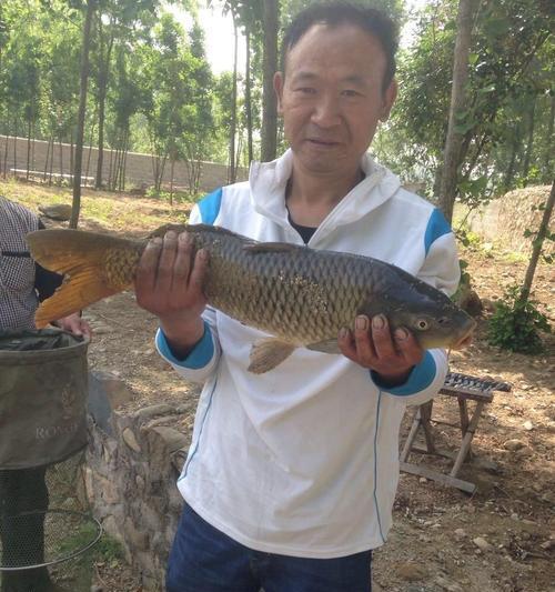 钓具的搭配技巧有哪些？如何根据鱼种选择合适的钓具组合？