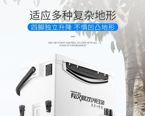钓具箱里的小技巧是什么？如何整理和维护钓具？
