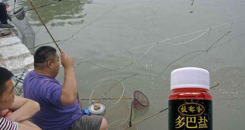 如何选择最佳鱼饵搭配钓鲤鱼？溜鱼技巧有哪些？