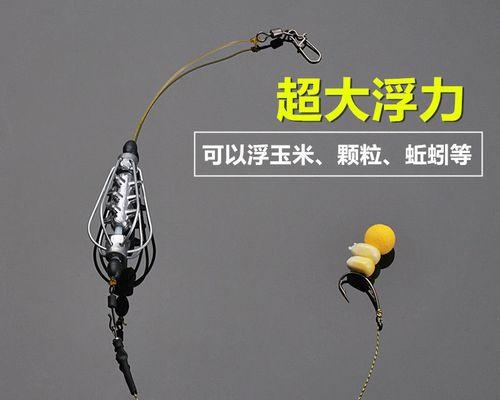 如何掌握钓鲤鱼打浮技巧？教程中常见问题有哪些？