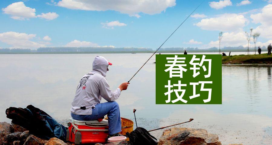 如何正确搭配钓鲤鱼的线组和鱼漂？教程中有哪些常见问题解答？