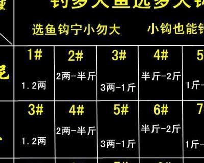 钓鲤鱼时线组和鱼漂搭配技巧有何不同？