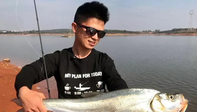 如何掌握钓鲤鱼的钓浮技巧？常见问题有哪些？