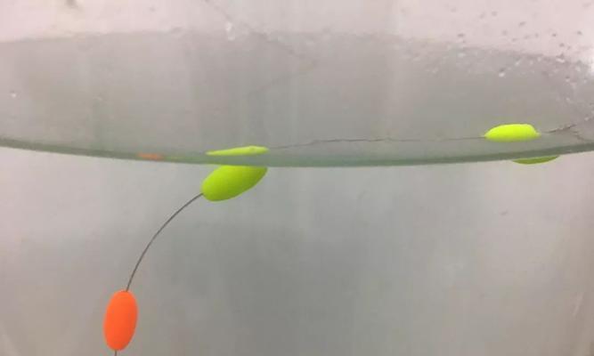 如何正确调整钓鲤鱼的浮漂？掌握哪些调漂技巧能提高钓鱼效率？