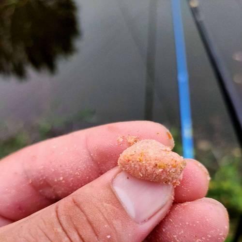 如何掌握钓鲤鱼的浮钓技巧？浮钓鲤鱼时常见的问题有哪些？