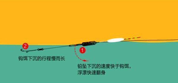 如何掌握钓鲤鱼时看鱼漂的技巧和方法？