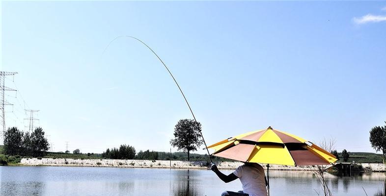 钓鲤鱼漂相技巧有哪些？如何根据漂相判断鲤鱼上钩时机？