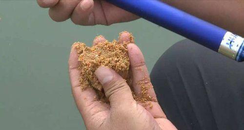 如何掌握钓鲤鱼的最新技巧？这些方法能提高你的钓鱼成功率吗？