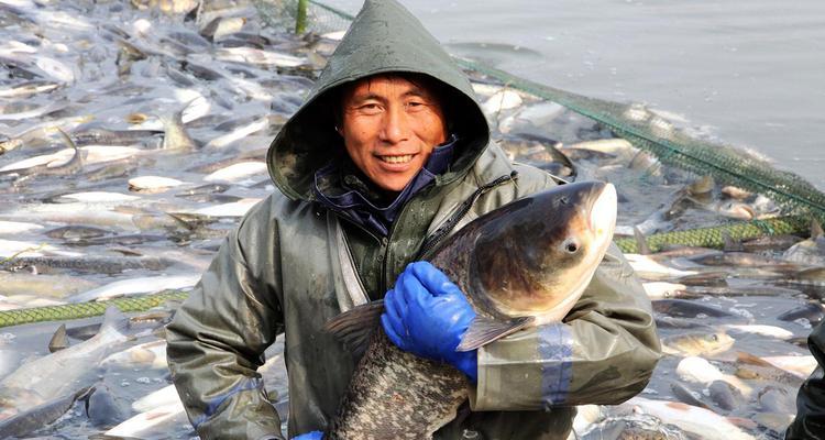如何掌握钓鲢鳙72米鱼竿的抛竿技巧？常见问题有哪些？