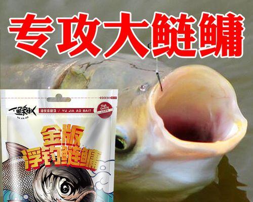 如何正确上饵料抛竿钓鲢鳙？常见错误有哪些？