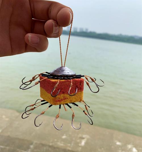 如何掌握钓鲢鳙抛海竿技巧？常见问题有哪些？