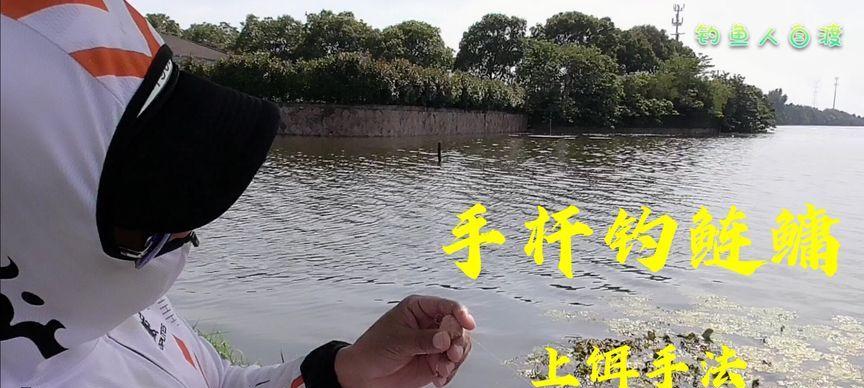 如何掌握钓鲢鳙抛长竿的正确技巧？常见问题有哪些？