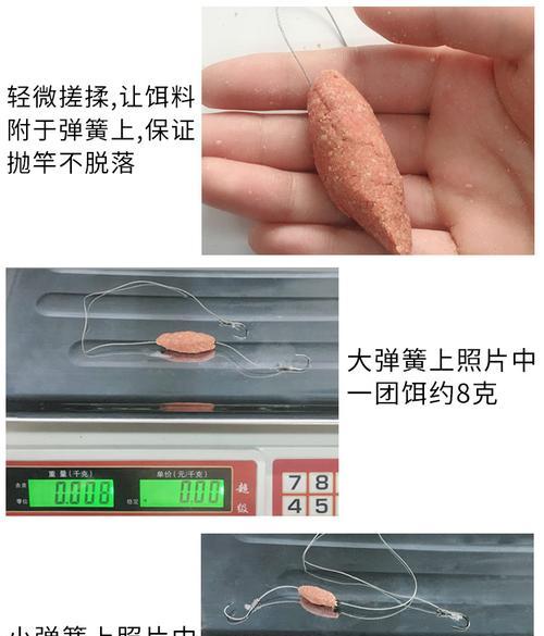如何掌握钓鲢鳙的抛长竿技巧？有效方法有哪些？