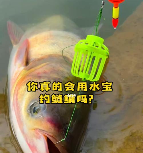 如何掌握钓鲢鳙的抛长竿技巧？有效方法有哪些？