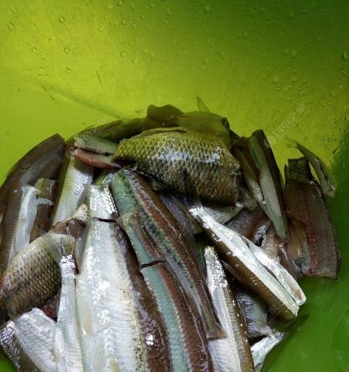 如何在流水中小鱼钓鱼？有哪些有效技巧和方法？